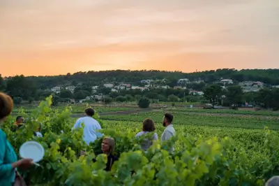 Les Escapades des vins de Bandol : balade gourmande du 5 au 7 juin