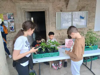 Les jeunes élus de Blasimon vendent leurs plants pour financer un voyage à Paris