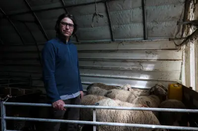 Levens : sangliers et loups, un casse-tête pour la commune