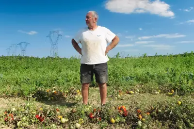 Marco, le maraîcher qui cultive sans eau ni pesticides depuis 30 ans