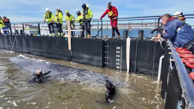Menaces de mort contre le capitaine du sauvetage de Timmy la baleine