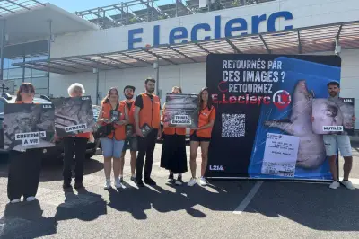 Militants de L214 retournent 150 barquettes de viande au Leclerc de La Seyne