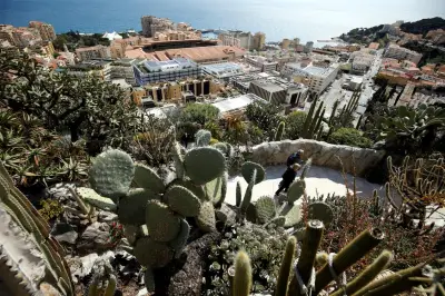 Monaco et Rome unissent leurs jardins pour sauvegarder les plantes succulentes