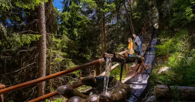 Montagne en été : un nouveau tournant pour les vacances en France