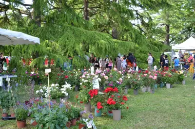Mérignac : 40 exposants pour un jardinage écoresponsable le 30 mai