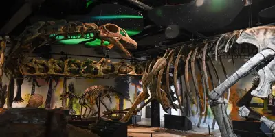 Nagatitan : nouveau dinosaure géant découvert en Thaïlande