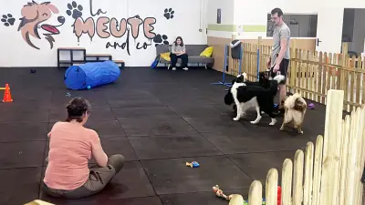 Oise : le premier parc d'attractions pour chiens ferme déjà ses portes