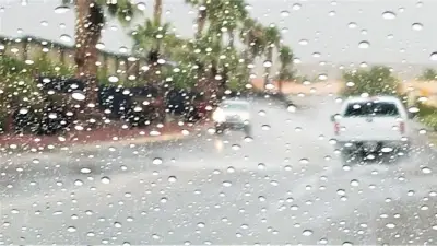 Orage supercellulaire au Missouri : grêlons géants et un émeu tué
