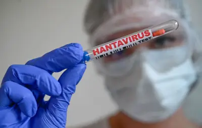 Patient zéro de l'hantavirus sur le MV Hondius : un ornithologue néerlandais