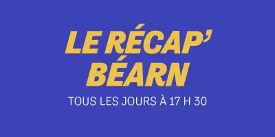 Pau FC battu sur corner, cygne tué, vautour abattu : le récap