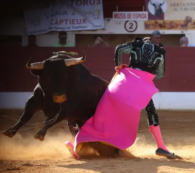 Pentecôte à Vic: déception des toros de Baltasar Ibán et concours matinal relevé