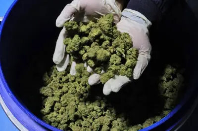 Plus de 2,6 tonnes de stupéfiants saisies dans le port de Sète