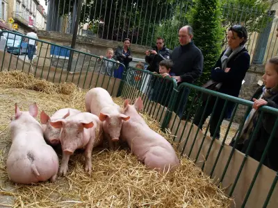 Pont de l'Ascension en Dordogne : 9 idées de sorties du 14 au 17 mai