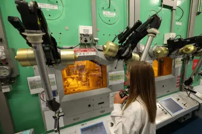 Pour innover, il faut cesser de punir l'échec, plaide un économiste