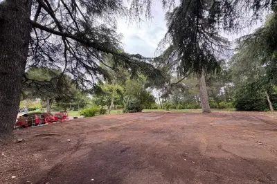 Pourquoi les jeux Belle-époque ont quitté le parc Carol-de-Roumanie à Nice