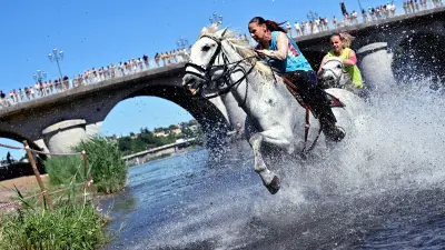 Programme complet de la feria d'Alès ce vendredi 15 mai