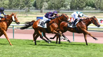 Quinté à Marseille-Borély : Irréductible Kourpluvix s'impose