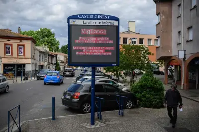 Recherches intensives pour retrouver le cobra à Castelginest
