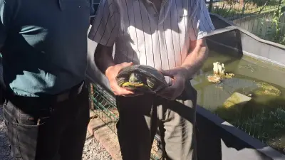 Refuge aux 1 000 tortues à Vergèze : portes ouvertes ce week-end