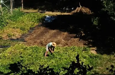 Rencontre citoyenne sur l'eau et le climat dans le Périgord vert