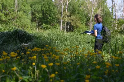 Restaurer la plaine de la Brague à Antibes : un projet expérimental lancé
