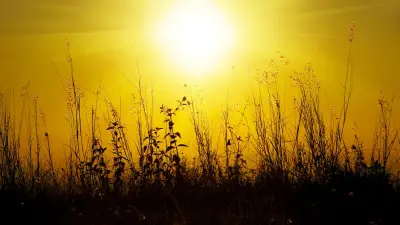 Retour de la chaleur : jusqu'à 33°C en Occitanie pour la Pentecôte