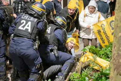 Sainte-Soline : le maintien de l'ordre doit être repensé, selon des experts