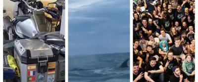 Saisie de cocaïne, ZEvent, baleine rare : l'actu régionale