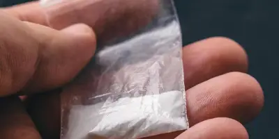 Saisie de drogue et d'argent à Saint-Sylvestre-sur-Lot