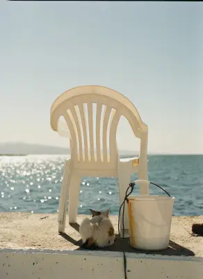 Saison Méditerranée à Marseille : l'art à rivages découverts