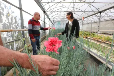 Sauver les fleurs anciennes pour l'horticulture de demain dans le Var