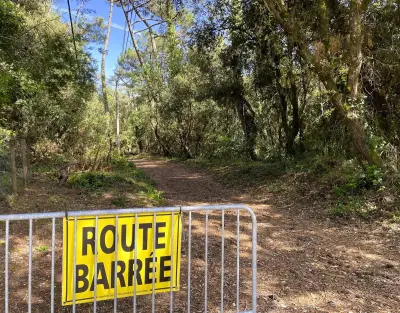 Sécurisation de la forêt de Suzac : six semaines de travaux avant réouverture