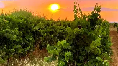 Soirée astronomie à Servian avec Ciel Mon Ami le 19 juin