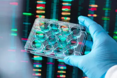 Tests ADN : vers une légalisation en France ? Enquête sur la quête des origines