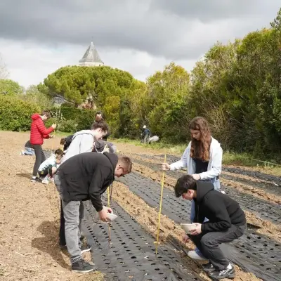 À Thairé, des adolescents plantent 2000 oignons pour la foire d'août