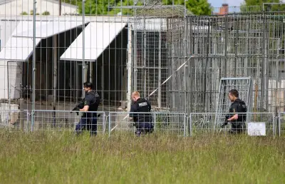 Tigre évadé abattu par la police à Leipzig après une attaque