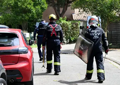Traque du cobra à Castelginest : une peur contagieuse mais raisonnable