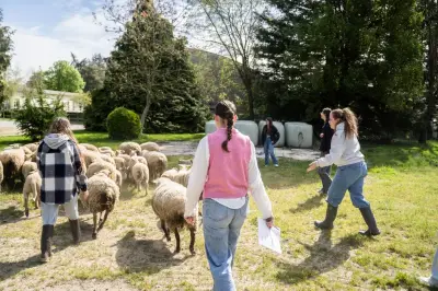 Un an avec des lycéens agricoles : TP au milieu des brebis et des champs