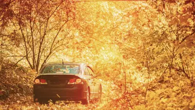 Une nonagénaire oubliée par son mari dans une voiture pendant deux jours