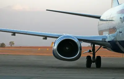 Une passagère fait revenir un avion à la porte d'embarquement