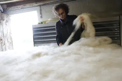 Valorisation de la laine : une filature artisanale en Dordogne