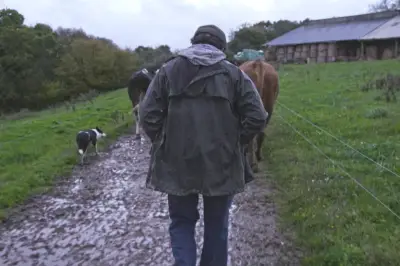 Violence dans les champs : enquête sur un système agricole qui broie le monde rural