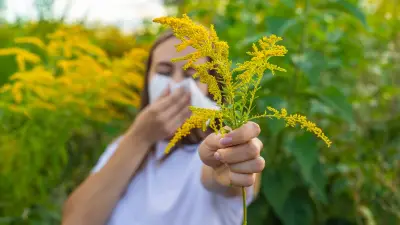 Week-end de Pentecôte : un pic de pollens de graminées attendu