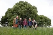 131 arbres remarquables recensés en Charente-Maritime par Nature Environnement 17
