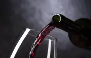 5 vins à moins de 10 euros : des pépites à découvrir sur Cdiscount