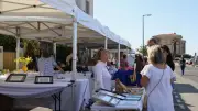 80 artistes investissent le quai de la Daurade à Sète pour une exposition à ciel ouvert