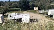 Agde : 1 000 caravanes illégales aux Verdisses, le maire promet d'en finir
