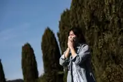 Allergies : le Var en risque élevé pour le pollen de graminées, conseils pratiques