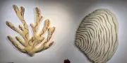 Anke Loedts expose ses tapis tuftés inspirés de la forêt et de l'océan