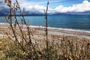 Antibes : baignade interdite sur trois plages après une fuite d'eaux usées